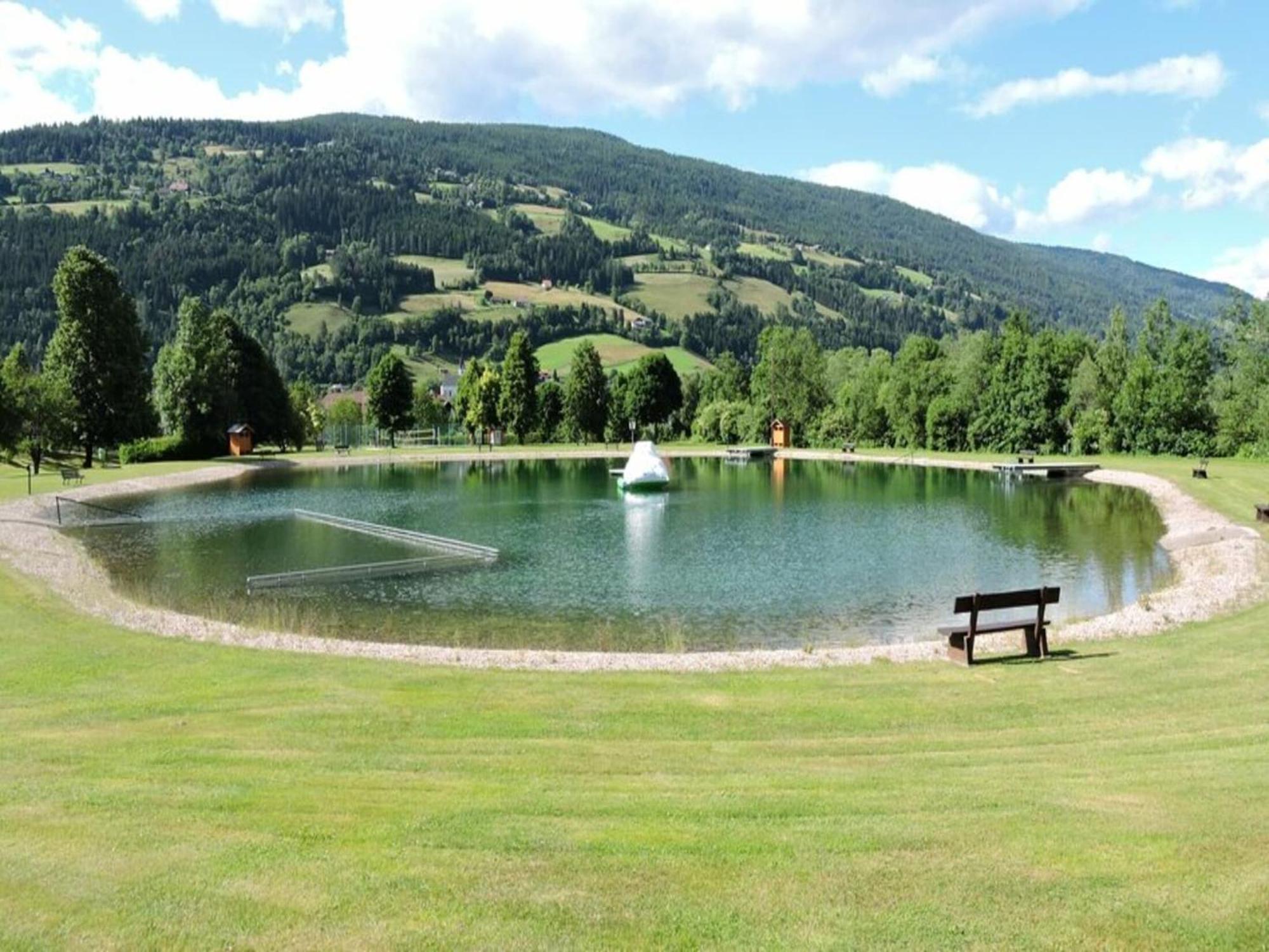 Chalet In Stadl An Der Mur Styria With Terrace Exteriör bild